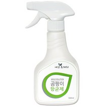 에코후레쉬 곰팡이 항균제, 500ml, 1개, 500ml