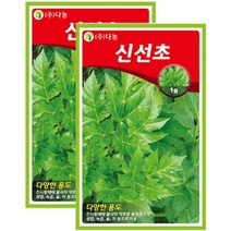 다농 신선초씨앗, 1g x 2팩, 1개
