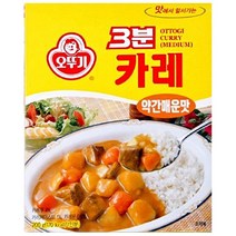 오뚜기 3분 카레 약간매운맛, 200g, 2개