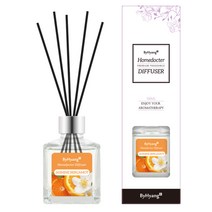 바이향 리프레싱 홈닥터 디퓨져 100ml, 자스민 베르가못, 1개