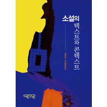 텍스트와 콘텍스트 혹은 한국 소설의 현상과 맥락:손정수 평론집, 자음과모음