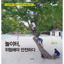 놀이터 위험해야 안전하다:과잉보호에 내몰리는 대한민국 아이들을 위해, 소나무