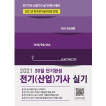 [듀오북스]2021 30일 단기완성 전기(산업)기사 실기, 듀오북스