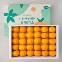 올레길감귤 GAP 인증 당도선별 감귤, 2kg (S~M), 1박스