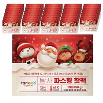 탐사 국내 생산 파스형 붙이는 핫팩 50g, 50개