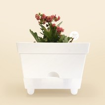 플라팜 사각 저면관수 화분 2p, 화이트