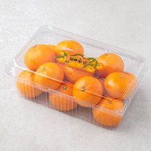 탐라황감 당도선별 서귀포 하우스감귤, 1.5kg, 1개