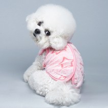 도그아이 강아지옷 별수면조끼, 핑크