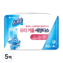 스카트 유리거울세정티슈 30매, 5개