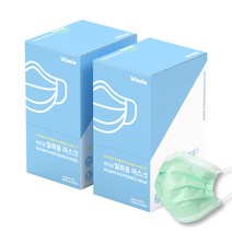 위즈윈 개별포장 일회용 마스크 민트색, 50개입, 2개