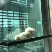 로드샵 고양이 와이어 해먹 1단, 혼합 색상