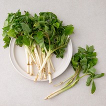 곰곰 국내산 땅두릅, 200g, 1팩