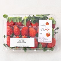 스마트팜 김제 금실딸기, 500g, 1개