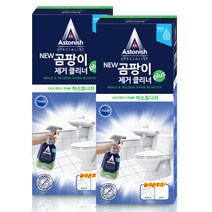 아스토니쉬 NEW 곰팡이 클리너 plus 스프레이, 750ml, 2개입
