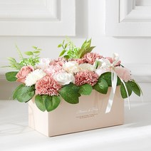 하우쎈스 카네이션 비누꽃, 카밍코랄