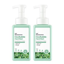 닥터방기원 시카 버블 핸드워시 자몽허브, 500ml, 2개