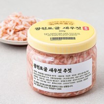 독배토돌이 광천토굴 추젓 (새우젓), 500g, 1통