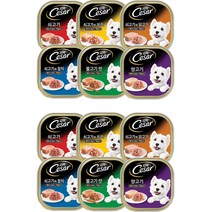 시저 버라이어티팩 반려동물 습식사료 6종 x 2p 세트, 버라이어티, 100g, 12세트