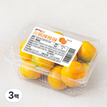 곰곰당도선별한입 감귤, 500g, 3팩