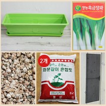 행복한세상 텃밭가꾸기 대 그린 흑금장파, 1개