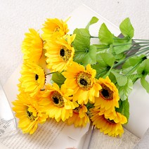 행복한세상 12대 해바라기, 혼합 색상