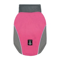 펫코디 반려견 따뜻한 스키 방수, B