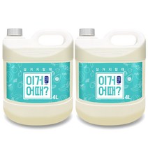 아토세이프 이거어때 주방 세제, 4L, 2개
