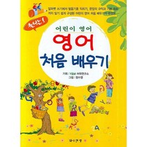 영어 처음배우기, 와이앤엠