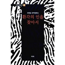 환각의 인을 찾아서 - 27 (역락비평신서), 역락, 문흥술