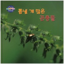 뽐낼 게 많은 곤충들, 세종