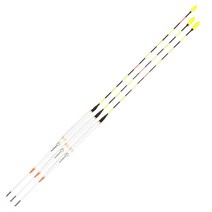 나루예 뉴 금희 전자 낚시찌 대 플러스 220 + 중 플러스 200 2p, 혼합 색상, 1세트