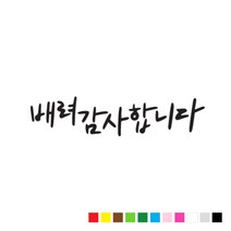 본투로드 초보 운전 스티커 캘리그라피 TYPE 5 배려 감사합니다, 갈색, 1개