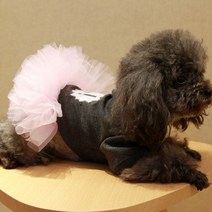 AnTs 반려동물 파티드레스, 그레이핑크