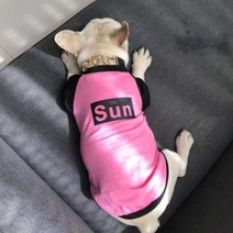 댕댕이 반려견 SUN티, 핑크