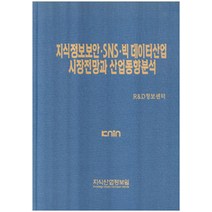 [지식산업정보원]지식정보보안·SNS·빅 데이터산업 시장전망과 산업동향분석, 지식산업정보원, R&D정보센터 지음