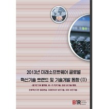 2013년 미래소프트웨어 글로벌 혁신기술 트랜드 및 기술개발 동향 2:웹 기반 SW 플랫폼 Wi-Fi P2P 기술 감성 UX 기술 동향, 비아이알, 김원대 지음