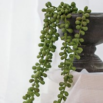 아티파티 인테리어 조화 행잉플랜트 그리너리 72cm, 콩난바인, 1개