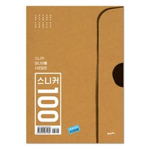 스니커 마니아를 사로잡은 스니커 100:, 21세기북스, 고영대외