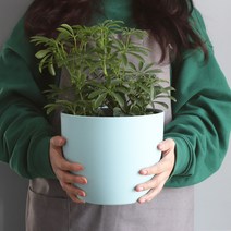 모리앤 물주는 시기를 알수있는 플랜트 눈금화분 원형, 민트
