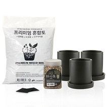 삼호유리 화분 소 블랙 3p + 프리미엄 혼합토 800g + 데코 마사토 500g + 깔망 3p 세트 SH1704-1, 1세트