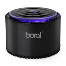 보랄 차량용 공기청정기, BR-C801AP