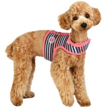 패숀팩토리 강아지 쥬쥬 하네스 J형 면 가슴줄 NAUA-HJ7629, 인디안핑크