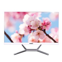 뷰라이프 올인원 24 일체형 PC AP-D238 (Intel dual-core i5 61cm), AP-D238-i5, WIN 미포함, RAM 4GB, SSD 240GB