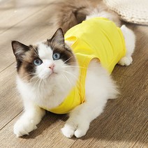 파스텔펫 소프트 고양이 환묘복, 옐로