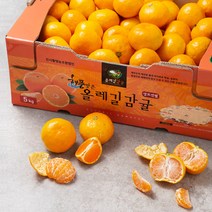 GAP 인증 해풍맞은 올레길 당도선별 감귤, 5kg, 1개