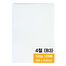 영아트 모조지 120g, 4절, 125개