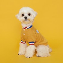 플로트 스냅티셔츠 강아지옷, 옐로우