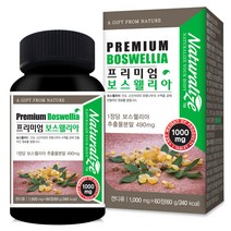 네추럴라이즈 프리미엄 보스웰리아 60g, 60정, 1개