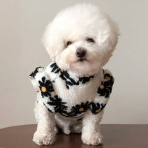바이담수미 강아지 양털 꽃프릴 티셔츠, 화이트