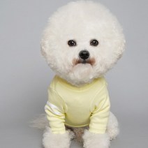 바이담수미 투라인 강아지 티셔츠, 옐로우